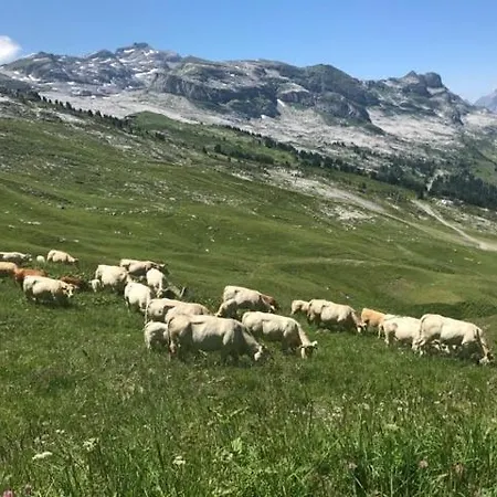 Prime In, Out Flaine